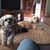 Barbara Wykoff's profile image