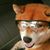 Michael Sandborn's profile image