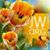 Marilyn Dougherty's profile image
