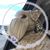 Cheryl Faw Davis's profile image