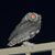Dale McKenney's profile image