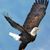 Jose L. Hernandez's profile image