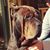 Gregory Deveau's profile image
