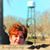Robin Johnson's profile image