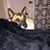 Victoria Green-Burris's profile image