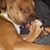 Tracy Howard's profile image