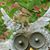 Joy Bailey Thompson's profile image