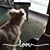 Charice Markowitz's profile image