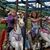 Susan Shupp's profile image