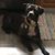 Beth Biester's profile image