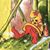 Al Hopper's profile image