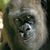 Alex Errico's profile image