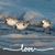 Pam Boehmer's profile image