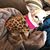 Laura Hartless's profile image