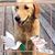 Valerie Gresik's profile image