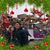 Mark Atchley's profile image