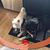 Jackie Caskey-Johnson's profile image