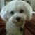 Kathy Hernandez's profile image