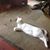 Lyn Brammer's profile image