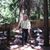Carol Walker's profile image