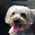 Kathleen Rosner's profile image