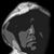 Stu Paulesc's profile image