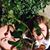 Anna Linhard's profile image