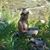 Debra Weatherly's profile image