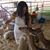 Jennifer Knesek's profile image