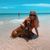 Karolynn Schneegas's profile image