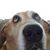 Diane Switala's profile image