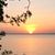 Pattie Hubbard's profile image