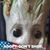 Lisa Gammill's profile image