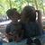 Heather Bunker Ledezma's profile image