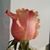 Debbie Mullane's profile image