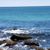 Michele Messier Messick's profile image