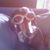 Toby Chomp's profile image