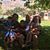 Danny N Lidya Daly's profile image