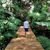 Jose Andres Fernandez's profile image