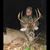 Emilee Egnew's profile image