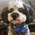 Roxanne Beeker's profile image