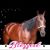 Kim Stevens Slemp's profile image