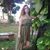 Paola Zunico's profile image