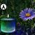 Liliana Pubill's profile image