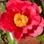 Deanna Roby Reidhead's profile image