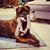 Jenny Nielsen's profile image