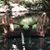 Valerie Sperduto's profile image