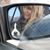 Dawna Howard's profile image