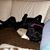 Peggy Barnhill's profile image