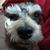 Christine Wood's profile image